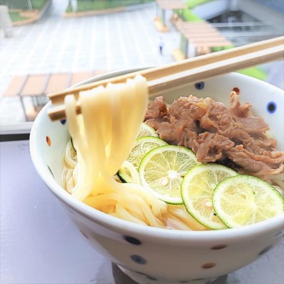 【お取り寄せぐるめ】老舗うどん屋にし家のおすすめ「肉すだち２食セット」
