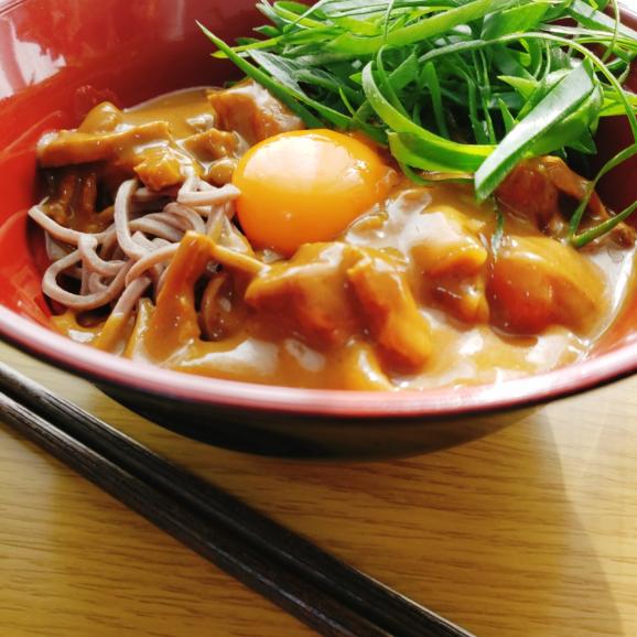 お歳暮や贈答用に【4人前ギフト】スパイシーな和風カレー出汁　総本家浪花そばの牛すじゴロっと辛口カレーそば03