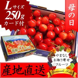 母の日 プレゼント フルーツ さくらんぼ 佐藤錦・高砂 L 250g