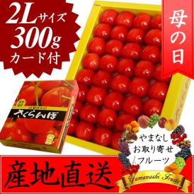 母の日 プレゼント フルーツ さくらんぼ 佐藤錦・高砂 化粧箱 2L 300g