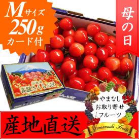 母の日 プレゼント フルーツ さくらんぼ 佐藤錦・高砂 M 250g