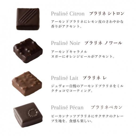 4タブレットに輝くショコラティエの逸品！ JOUVAUD（ジュヴォー）　アソートショコラ10個入プラリネ05