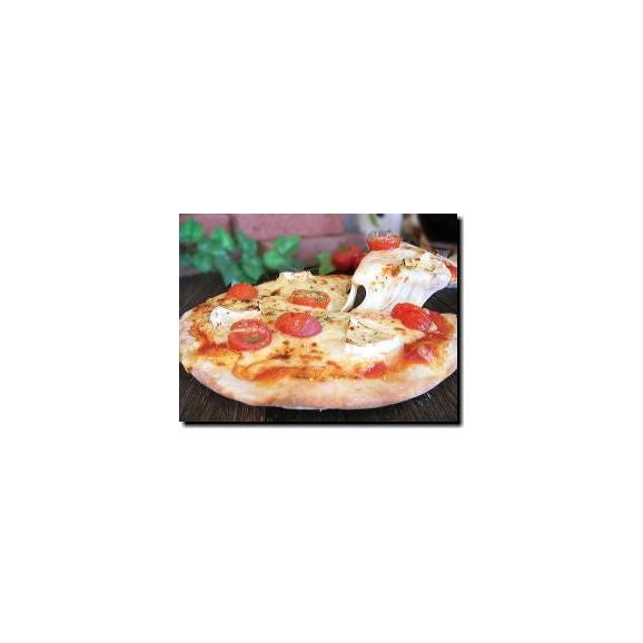 11月の5枚セット ピザ PIZZA06