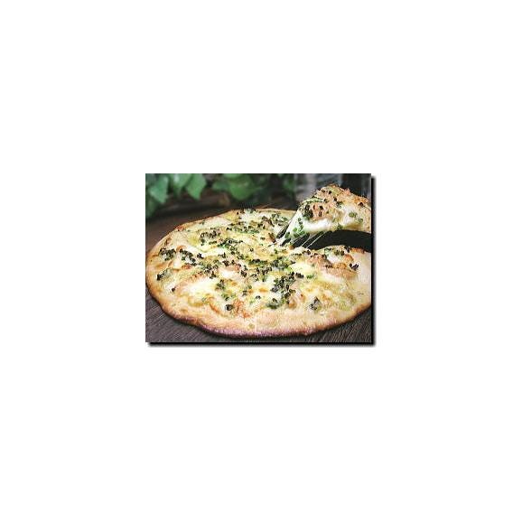 6月の5枚セット ピザ PIZZA03