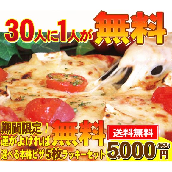 30人に1人が無料！選べるピザ5枚ラッキーセット【送料無料】05