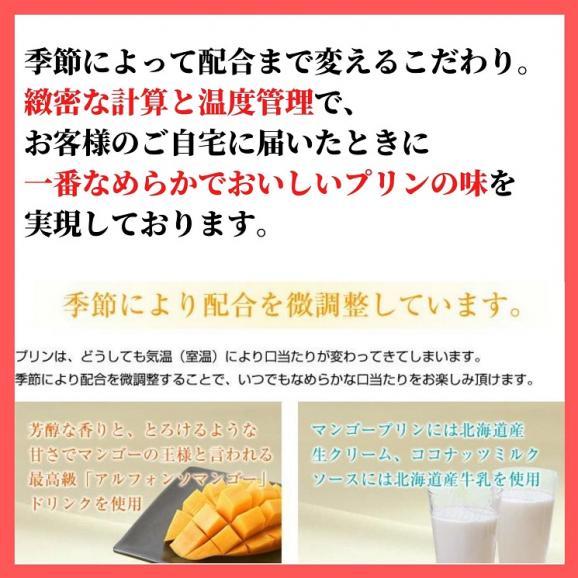 過門香 マンゴープリン(8個) ソース付き 【送料無料】【冷蔵】◇04