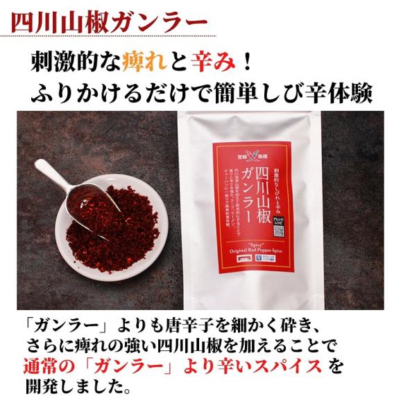 【ＴＶで紹介！】過門香の四川山椒ガンラー 45g 【送料無料】【ネコポス】◎　※代金引換・お届け日時指定&ldquo;不可&rdquo;05
