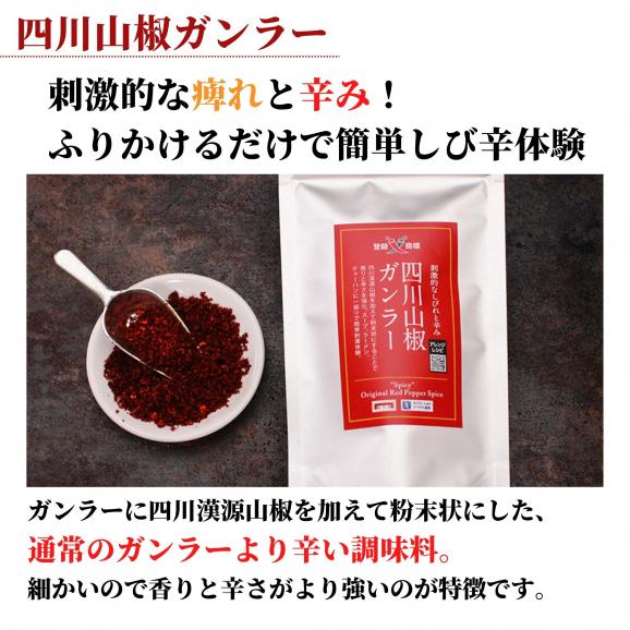 過門香の四川山椒ガンラー 90g 【送料無料】【ネコポス】◎　※代金引換・お届け日時指定&ldquo;不可&rdquo;04