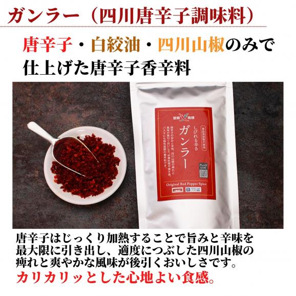 かけるだけでプロの味！大人のスパイス3種セット　各45g（ガンラー・セロリソルト・四川青山椒塩）【送料無料】【ネコポス】02