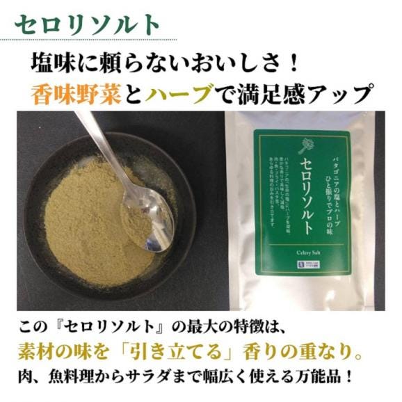 かけるだけでプロの味！大人のスパイス3種セット　各45g（ガンラー・セロリソルト・四川青山椒塩）【送料無料】【ネコポス】04