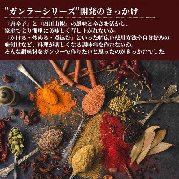 かけるだけでプロの味！大人のスパイス3種セット　各45g（ガンラー・セロリソルト・四川青山椒塩）【送料無料】【ネコポス】05