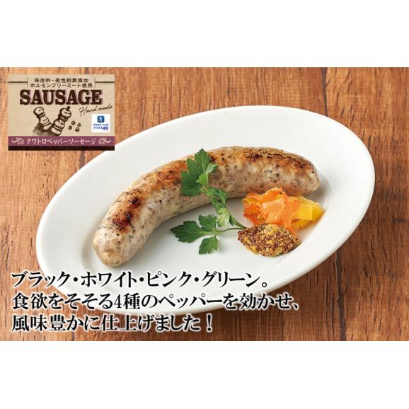 【自家製ソーセージ】クワトロペッパー ソーセージ(１本：約120ｇ)  【冷凍】03