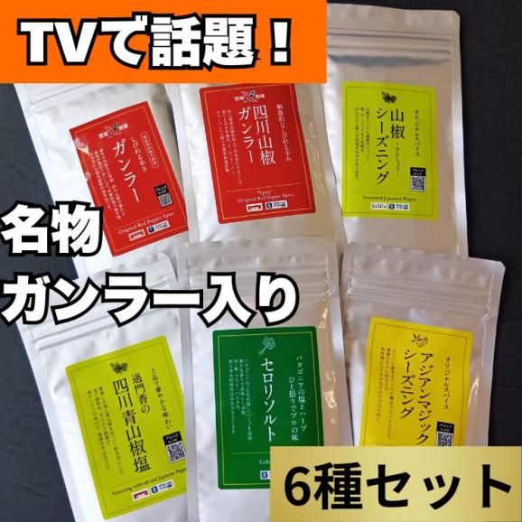 過門香ガンラーシリーズとシーズニング6種のまとめ買いセット各45g【送料無料】【ネコポス】　※代金引換・お届け日時指定&ldquo;不可&rdquo;02