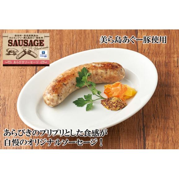 ぐるナイ・ゴチになりますのおみや！【贈答用】パスタとソーセージの詰め合わせおみやセット【冷凍】03