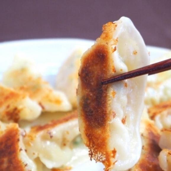 生餃子24個（国産野菜、九州産豚肉使用）【冷凍】02
