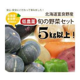 特Aランク品 野菜セット 北海道 富良野産 メガ盛り 旬の「野菜セット」（じゃがいも・玉ねぎ・その他） 5ｋｇ以上 産地直送