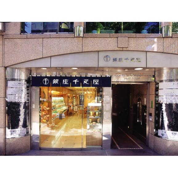 銀座千疋屋 銀座プレミアムアイス 10個 ギフト 贈り物 贈答 食べ物 贈答用 プレゼント おくりもの(代引不可)【送料無料】03