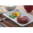 照り焼きソースハンバーグ 10個 食品 ギフト プレゼント 贈答 贈り物 記念日 お祝い 冠婚葬祭 内祝 御祝 出産内祝 結婚内祝 御見舞 快気祝 御仏前 志 お供(代引不可)【送料無料】