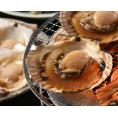 北海道 帆立片貝 食品 ギフト プレゼント 贈答 贈り物 記念日 お祝い 冠婚葬祭 内祝 御祝 出産内祝 結婚内祝 御見舞 快気祝 御仏前 志 お供(代引不可)【送料無料】