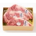 熊本 フジチク 藤彩牛サーロインステーキセット 食品 ギフト プレゼント 贈答 贈り物 記念日 お祝い 冠婚葬祭 内祝 御祝 出産内祝 結婚内祝 御見舞 快気祝 御仏前 お供(代引不可)【送料無料】