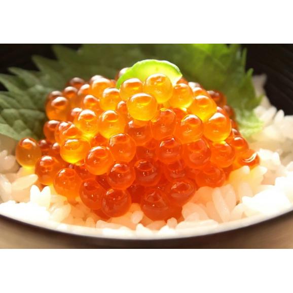北海道産 いくら醤油漬け 食品 ギフト プレゼント 贈答 熨斗 のし 贈り物 記念日 お祝い 冠婚葬祭 内祝 御祝 無地 出産内祝 結婚内祝 御見舞 快気祝 (代引不可)【送料無料】04