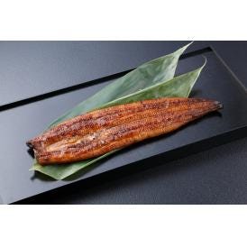 うなぎ問屋の大五 国産鰻蒲焼セット 食品 ギフト プレゼント 贈答 熨斗 のし 贈り物 記念日 お祝い 冠婚葬祭 内祝 御祝 無地 出産内祝 結婚内祝 (代引不可)【送料無料】