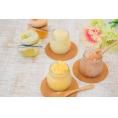 和歌山 「ふみこ農園」 凍らせて!ソルベ 食品 ギフト プレゼント 贈答 熨斗 のし 贈り物 記念日 お祝い 冠婚葬祭 内祝 御祝 無地 出産内祝 結婚内祝 (代引不可)【送料無料】