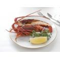 徳島 「吟月」 天然冷凍伊勢海老(2尾) 食品 ギフト プレゼント 贈答 熨斗 のし 贈り物 記念日 お祝い 冠婚葬祭 内祝 御祝 無地 出産内祝 結婚内祝 (代引不可)【送料無料】