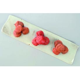 和歌山 紀州南高梅 つぶれ梅 食品 ギフト プレゼント 贈答 熨斗 のし 贈り物 記念日 お祝い 冠婚葬祭 内祝 御祝 無地 出産内祝 結婚内祝 (代引不可)【送料無料】