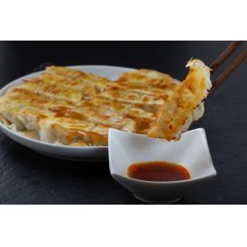 鹿児島県産黒豚使用 黒豚ぎょうざ 食品 ギフト プレゼント 贈答 贈り物 記念日 (代引不可)【送料無料】