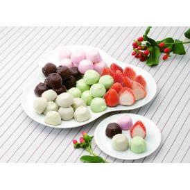 チョコアイスボール&苺アイス 食品 ギフト プレゼント 贈答 贈り物 記念日 (代引不可)【送料無料】
