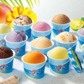 沖縄 ブルーシールアイス12個セット 食品 記念日