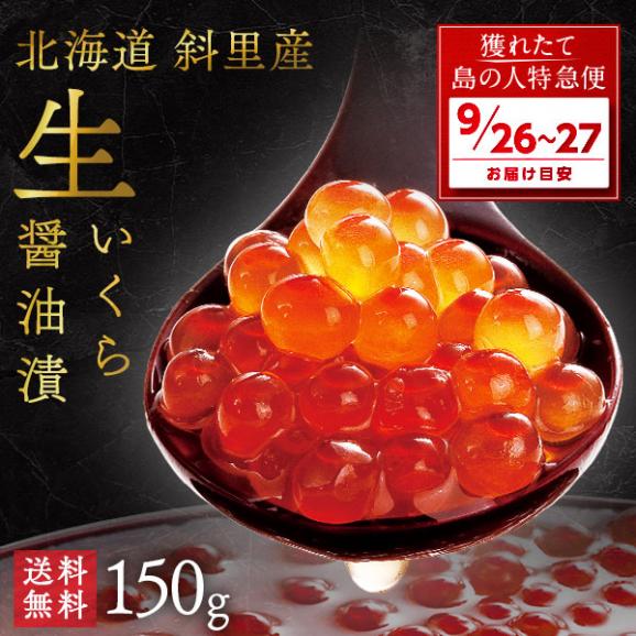 【9月26日～27日お届け】未冷凍 獲れたて 生いくら 醤油漬け(秋鮭) 北海道 斜里産　150g【送料無料】01
