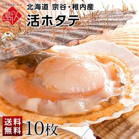 北海道 宗谷・稚内産 活ホタテ 10枚【送料無料】未冷凍
