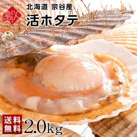 北海道 宗谷産 活ホタテ 2.0kg【送料無料】未冷凍