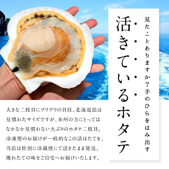 北海道 宗谷産 活ホタテ 2.0kg【送料無料】未冷凍02