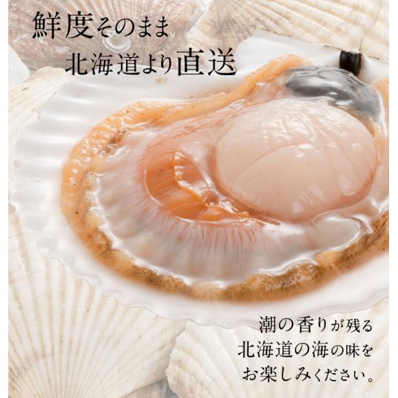 北海道 宗谷産 活ホタテ 2.0kg【送料無料】未冷凍03