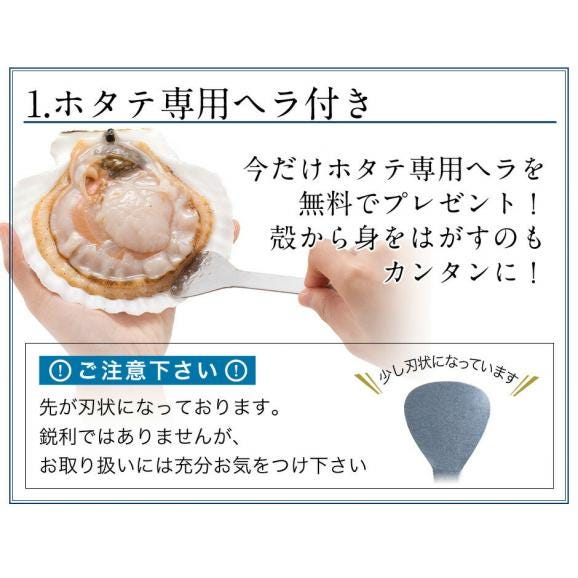 北海道 宗谷産 活ホタテ 2.0kg【送料無料】未冷凍05