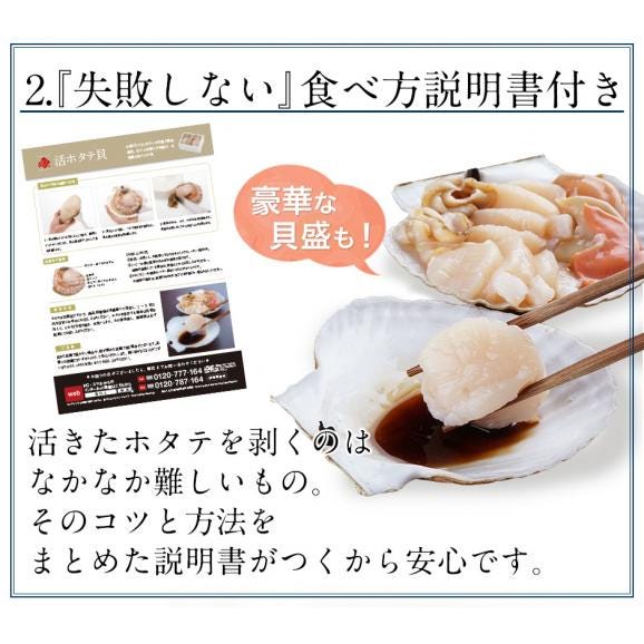 北海道 宗谷産 活ホタテ 2.0kg【送料無料】未冷凍06