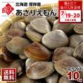 【7月19日～7月20日お届け】北海道 厚岸産 殻付 あさり（あさりえもん） 1.0kg【砂出し済】中サイズ　＊記載の期間にお届けとなります