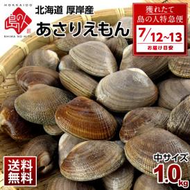 北海道厚岸の海で育った大きめアサリ　1kgパックは送料無料でお買得！