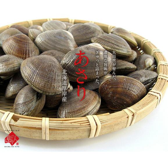 【7月12日～7月13日お届け】北海道 厚岸産 殻付 あさり（あさりえもん） 1.0kg【砂出し済】中サイズ　＊記載の期間にお届けとなります02