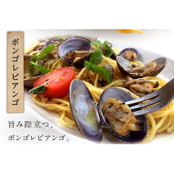 【7月12日～7月13日お届け】北海道 厚岸産 殻付 あさり（あさりえもん） 1.0kg【砂出し済】中サイズ　＊記載の期間にお届けとなります05