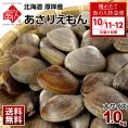 【10月11日～12日お届け】北海道 厚岸産 殻付 あさり 1.0kg【砂出し済】大サイズ