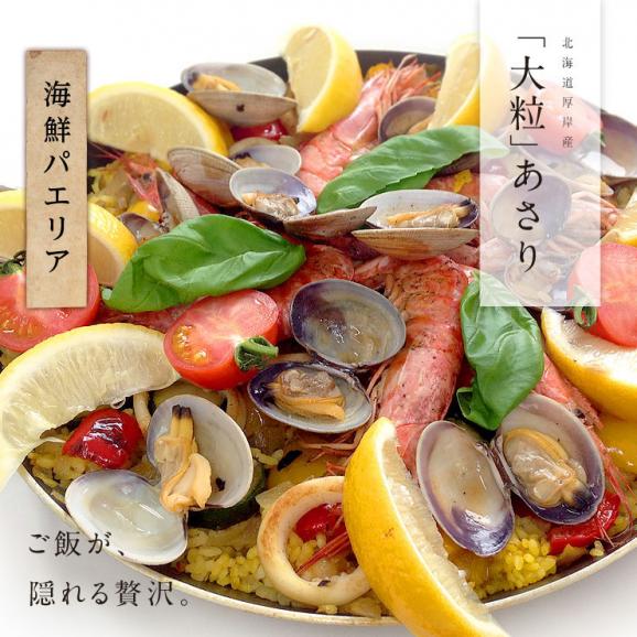 【水揚げ次第お届け】北海道 厚岸産 殻付 あさり 1.0kg【砂出し済】大サイズ04