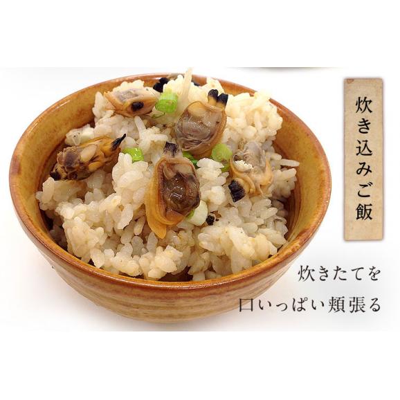 【水揚げ次第お届け】北海道 厚岸産 殻付 あさり 1.0kg【砂出し済】大サイズ06
