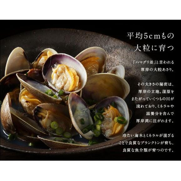 北海道 厚岸産 ごろっと殻付特大あさり 800g(あさりえもん)獲れたてをお届け【水揚げがあり次第発送】【送料無料】【砂出し済】ブランドあさり 浅利 北海道 貝 お取り寄せグルメ03