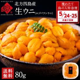 【5月24日～5月25日お届け】北方四島産 天然生エゾバフンウニ 80g【送料無料】北海道 生うに 塩水 パック 雲丹 バフンウニ ミョウバン不使用　＊記載の期間にお届けとなります