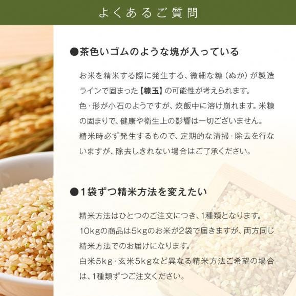 令和6年度産 米 特A 北海道産 ゆめぴりか 5kg 無洗米 白米 玄米(選べる精米方法)06