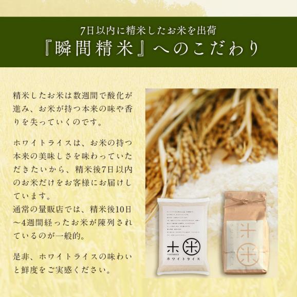 令和6年度産 米 特A 北海道産 ななつぼし 5kg 無洗米 白米 玄米(選べる精米方法)05